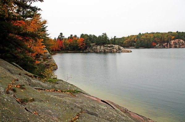 Autumn Mood At George Lake by Deb Oppermann
